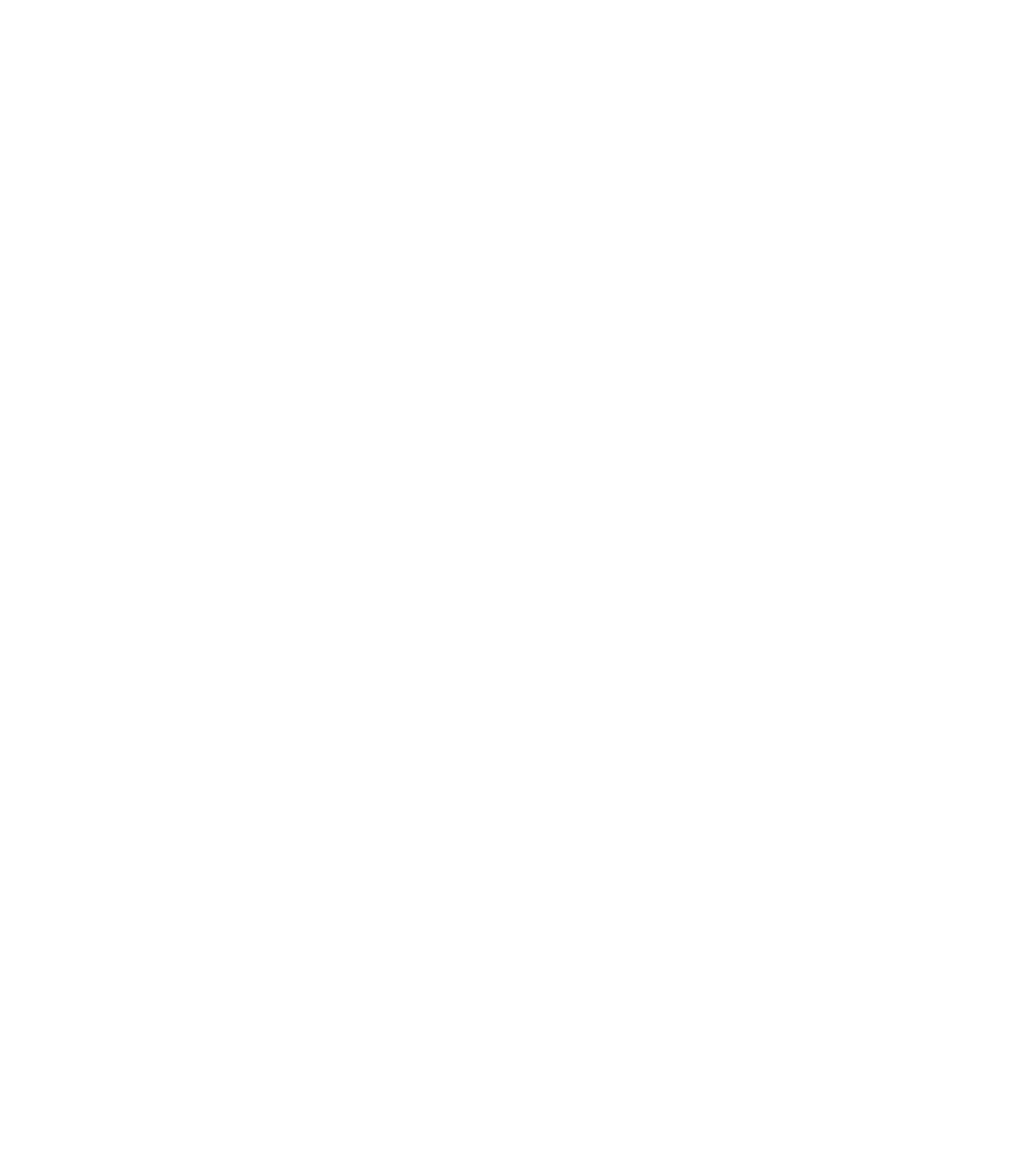 Ogami logo